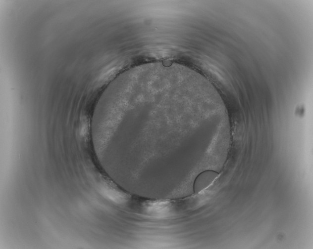 X0000093580132200711051125