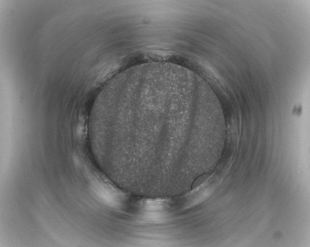 X0000093580134200711051125