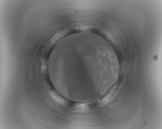 X0000093580140200711051125