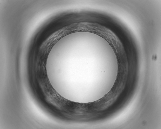 X0000093580142200711051125