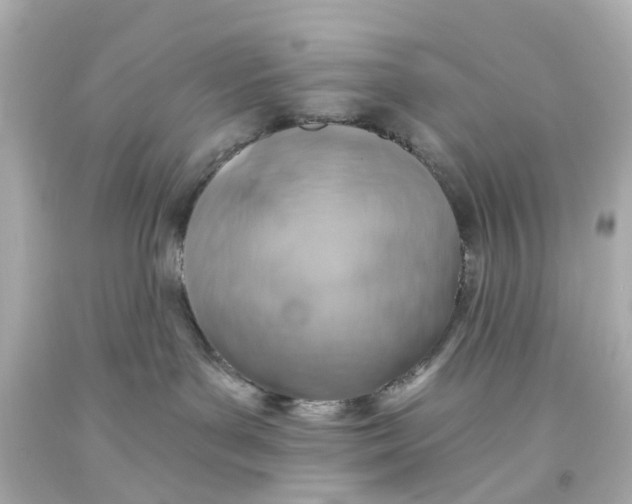 X0000093580143200711051125