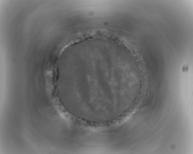 X0000093580144200711051125