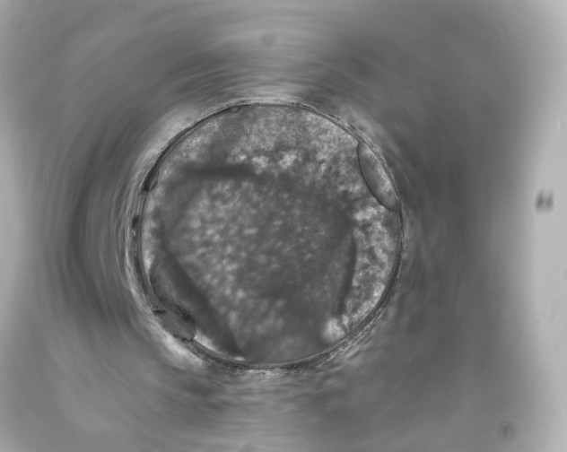 X0000093580145200711051124