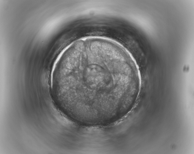 X0000093580146200711051124