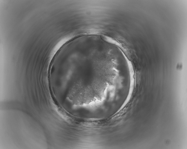 X0000093580147200711051124