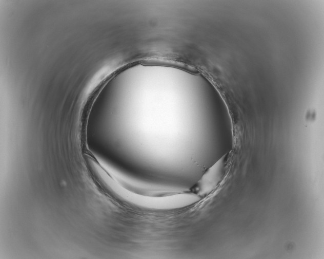 X0000093580150200711051124