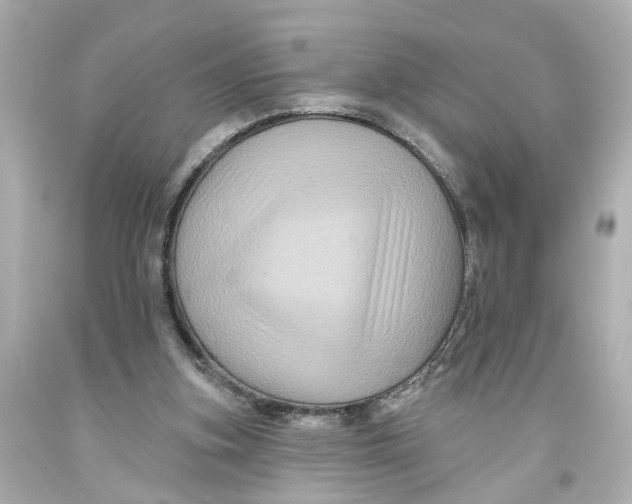 X0000093580155200711051124