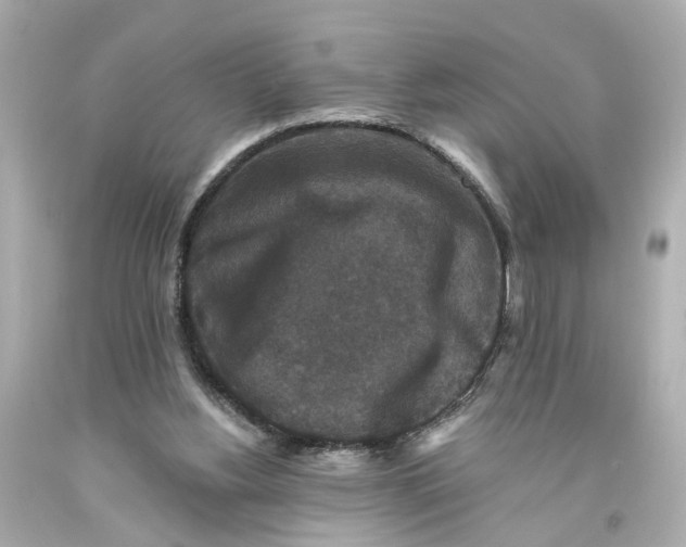 X0000093580156200711051124