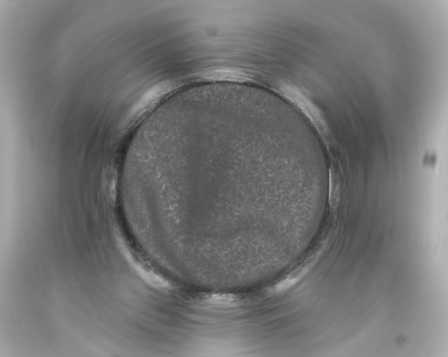 X0000093580157200711051124