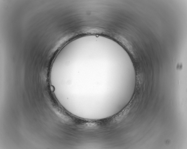 X0000093580159200711051125