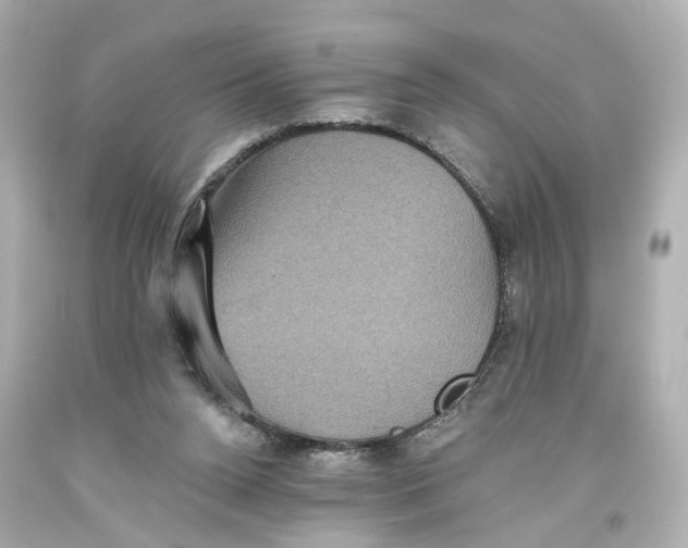 X0000093580160200711051125