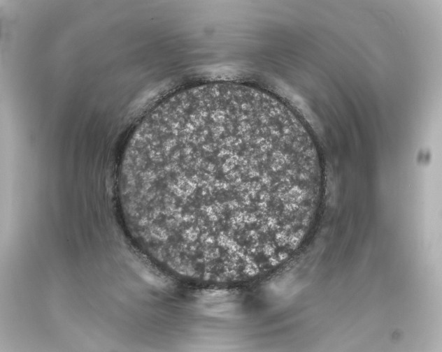 X0000093580161200711051125