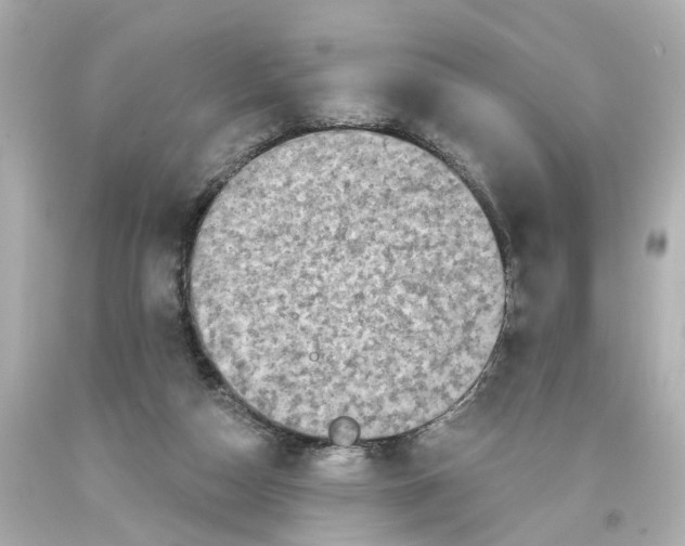 X0000093580162200711051125