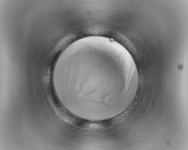 X0000093580163200711051125