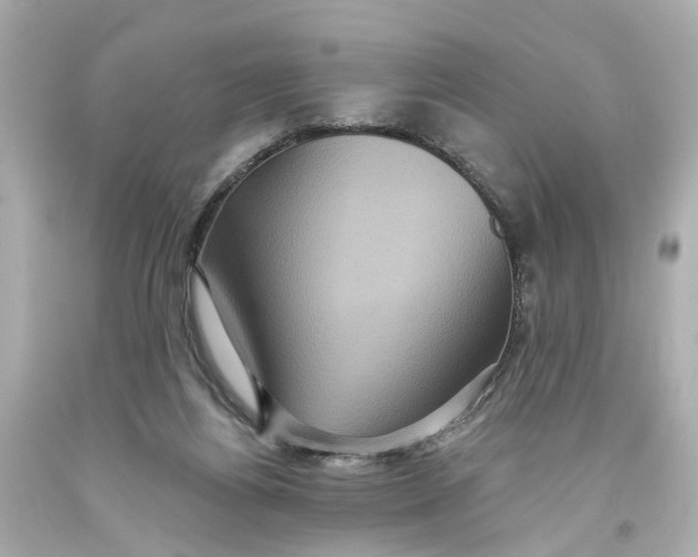 X0000093580164200711051125