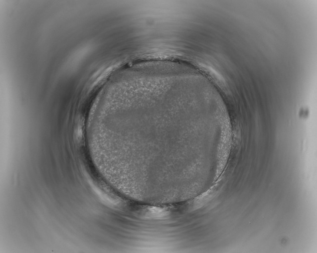 X0000093580166200711051125