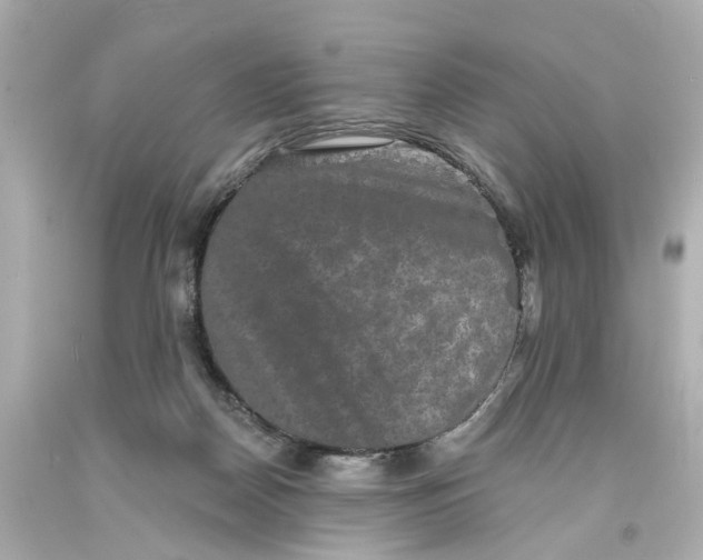 X0000093580170200711051125