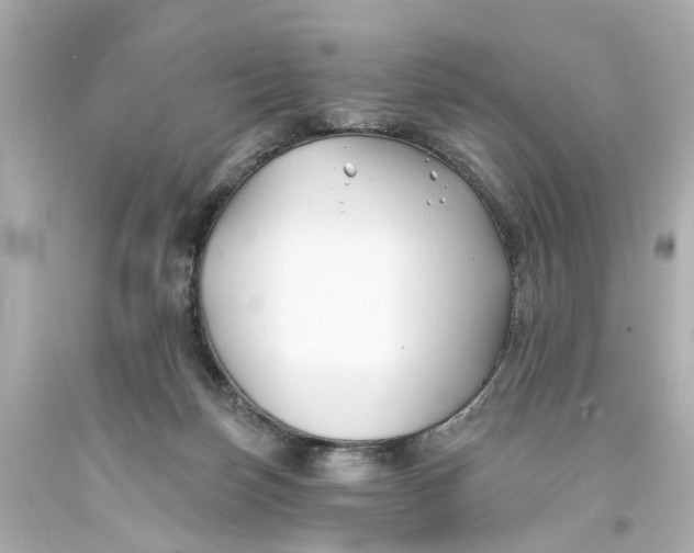 X0000093580171200711051125