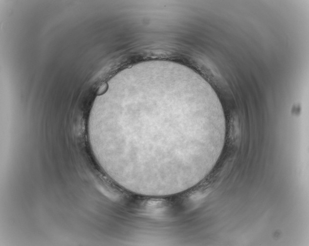 X0000093580173200711051125