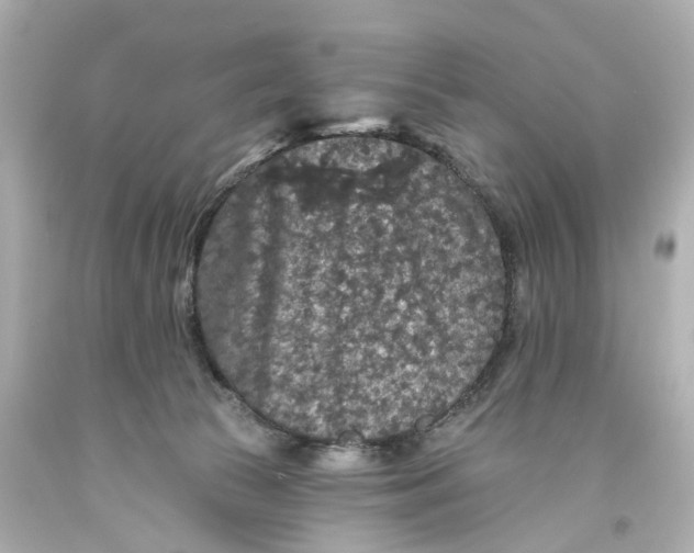 X0000093580177200711051125