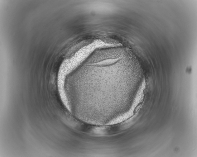 X0000093580178200711051125