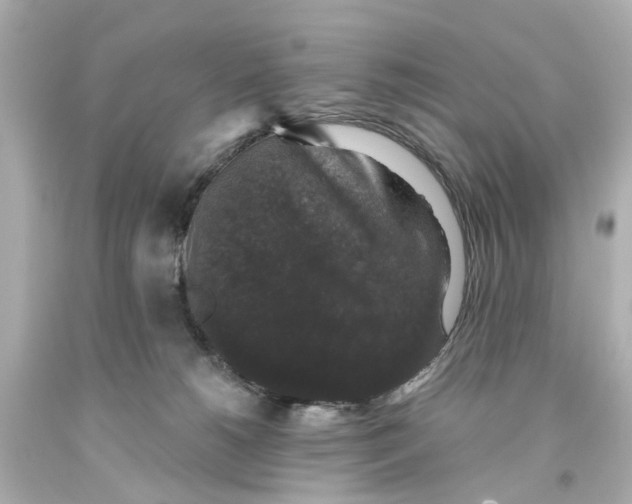 X0000093580180200711051125