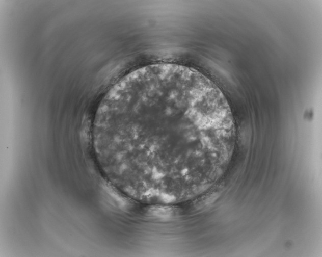 X0000093580181200711051125