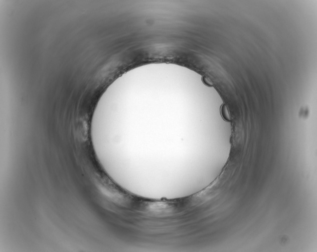 X0000093580183200711051125