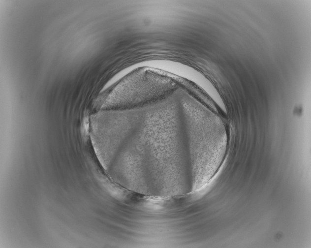 X0000093580190200711051125