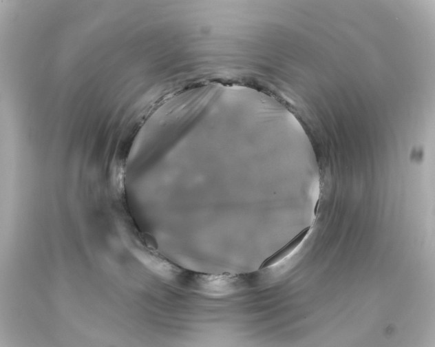 X0000093580191200711051125