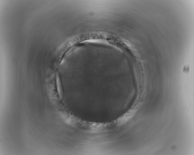 X0000093580192200711051125