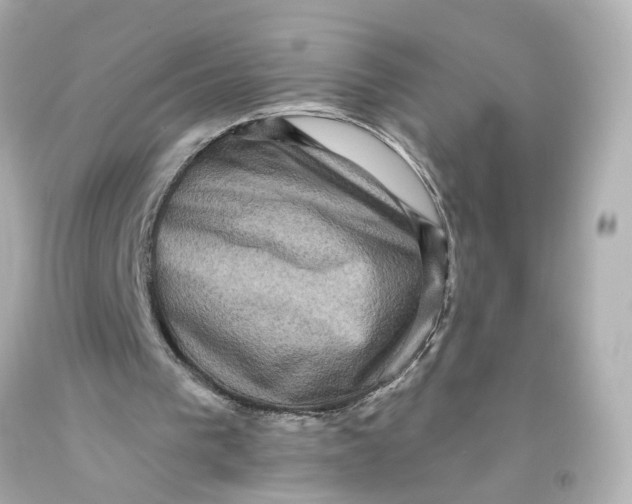 X0000093580193200711051124