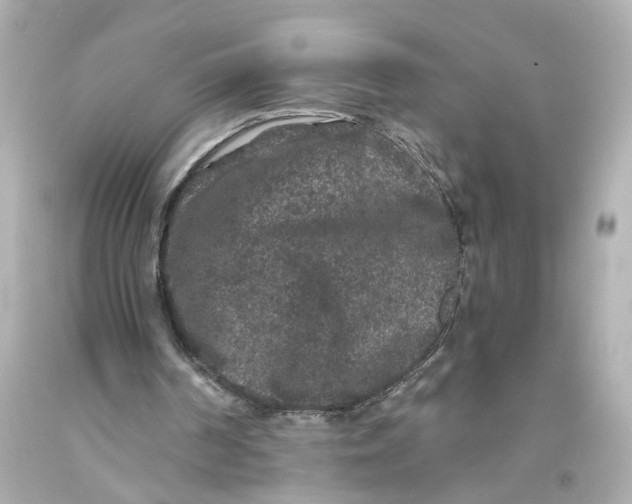 X0000093580194200711051124