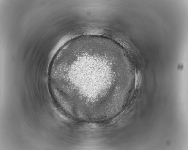 X0000093580195200711051124