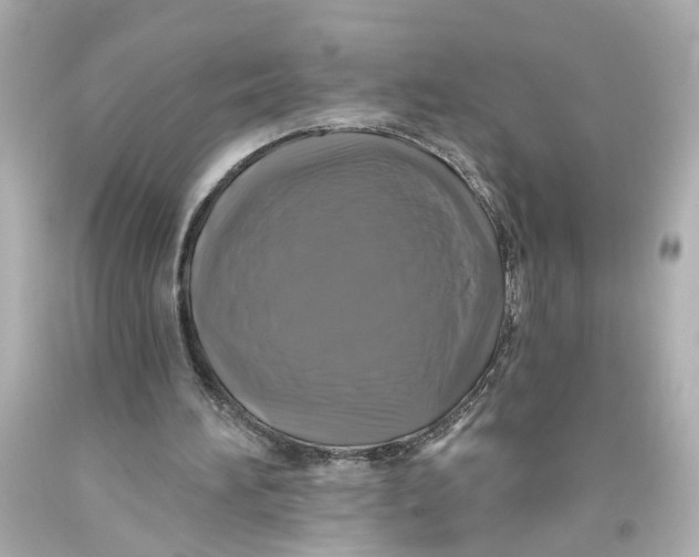 X0000093580196200711051124