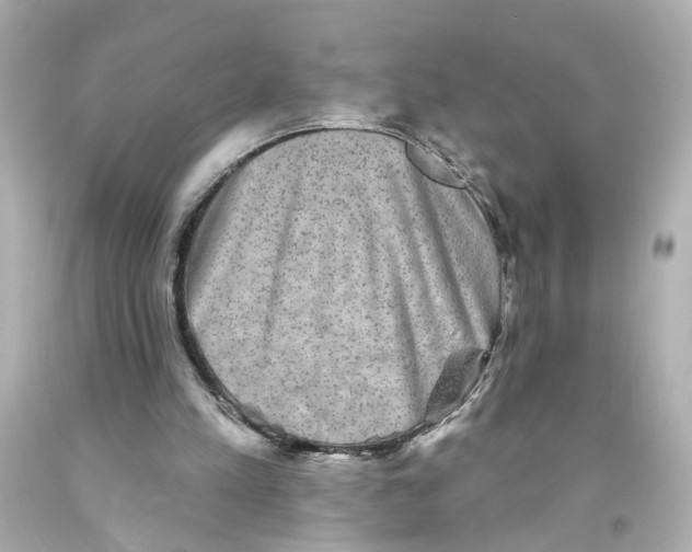 X0000093580197200711051124