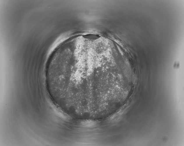 X0000093580198200711051124