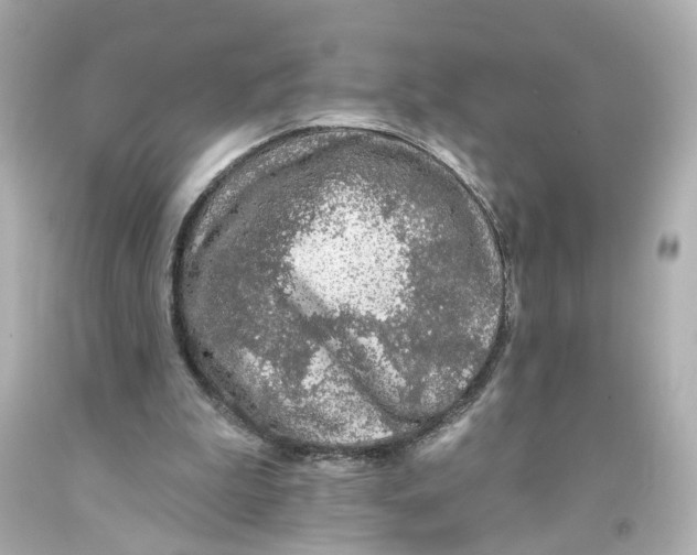 X0000093580199200711051124