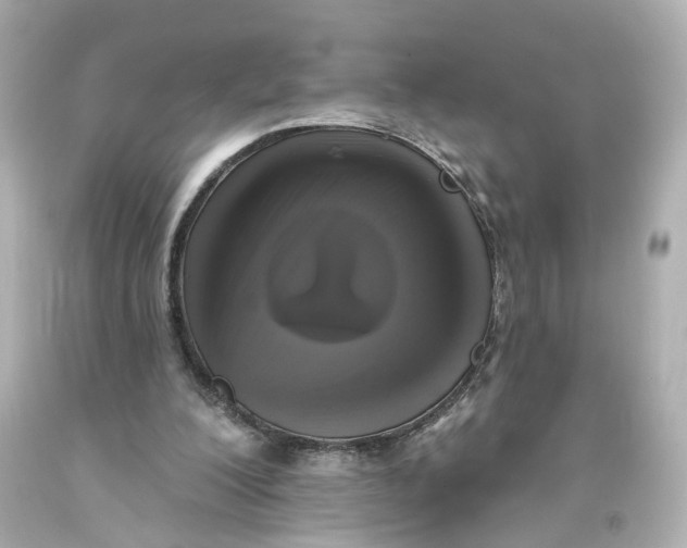 X0000093580200200711051124