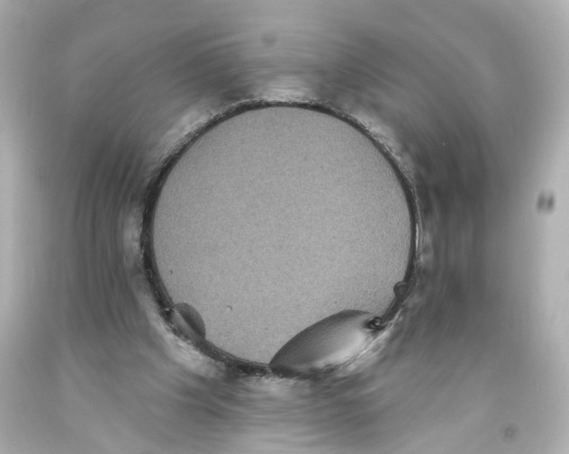 X0000093580201200711051124