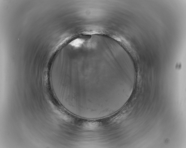 X0000093580202200711051124