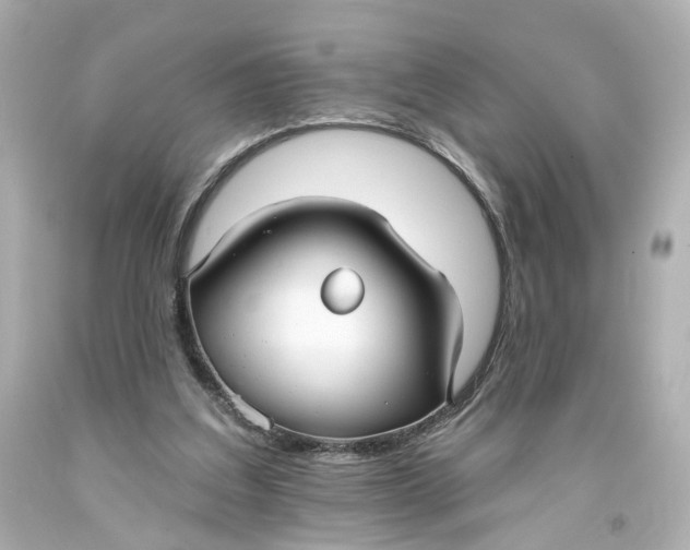 X0000093580203200711051124