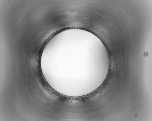 X0000093580208200711051124