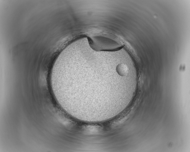 X0000093580209200711051124