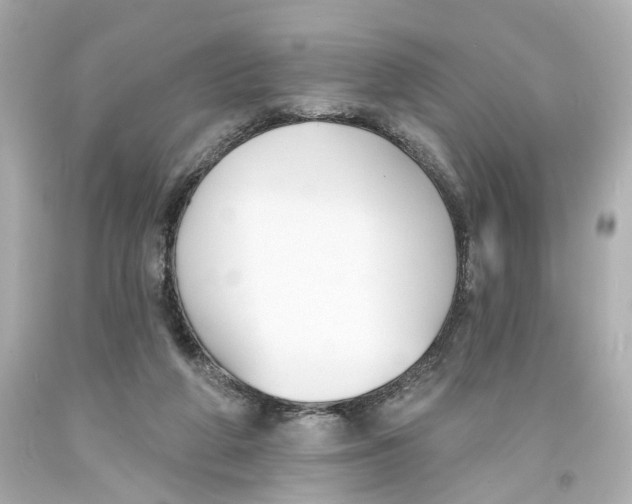 X0000093580210200711051124