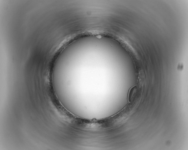 X0000093580212200711051124