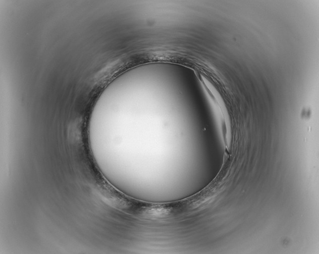 X0000093580217200711051124