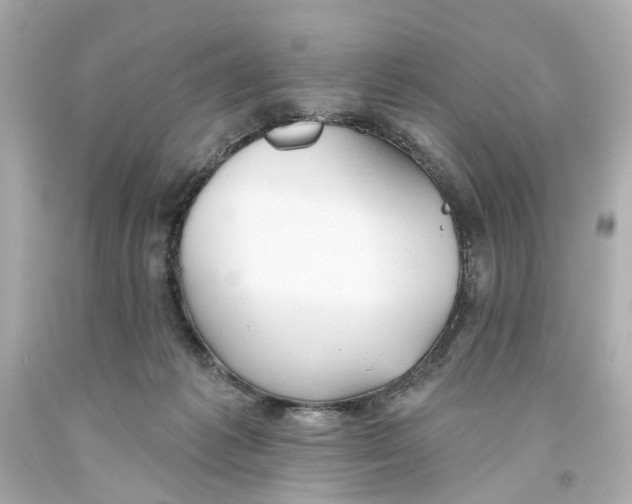 X0000093580221200711051124