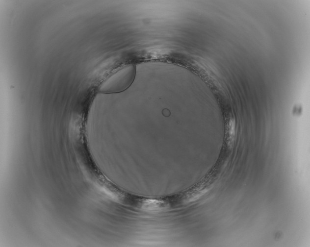 X0000093580222200711051124