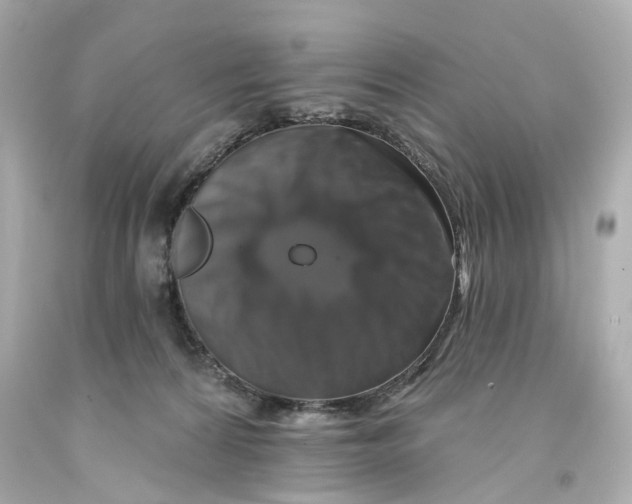 X0000093580224200711051124